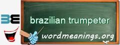 WordMeaning blackboard for brazilian trumpeter